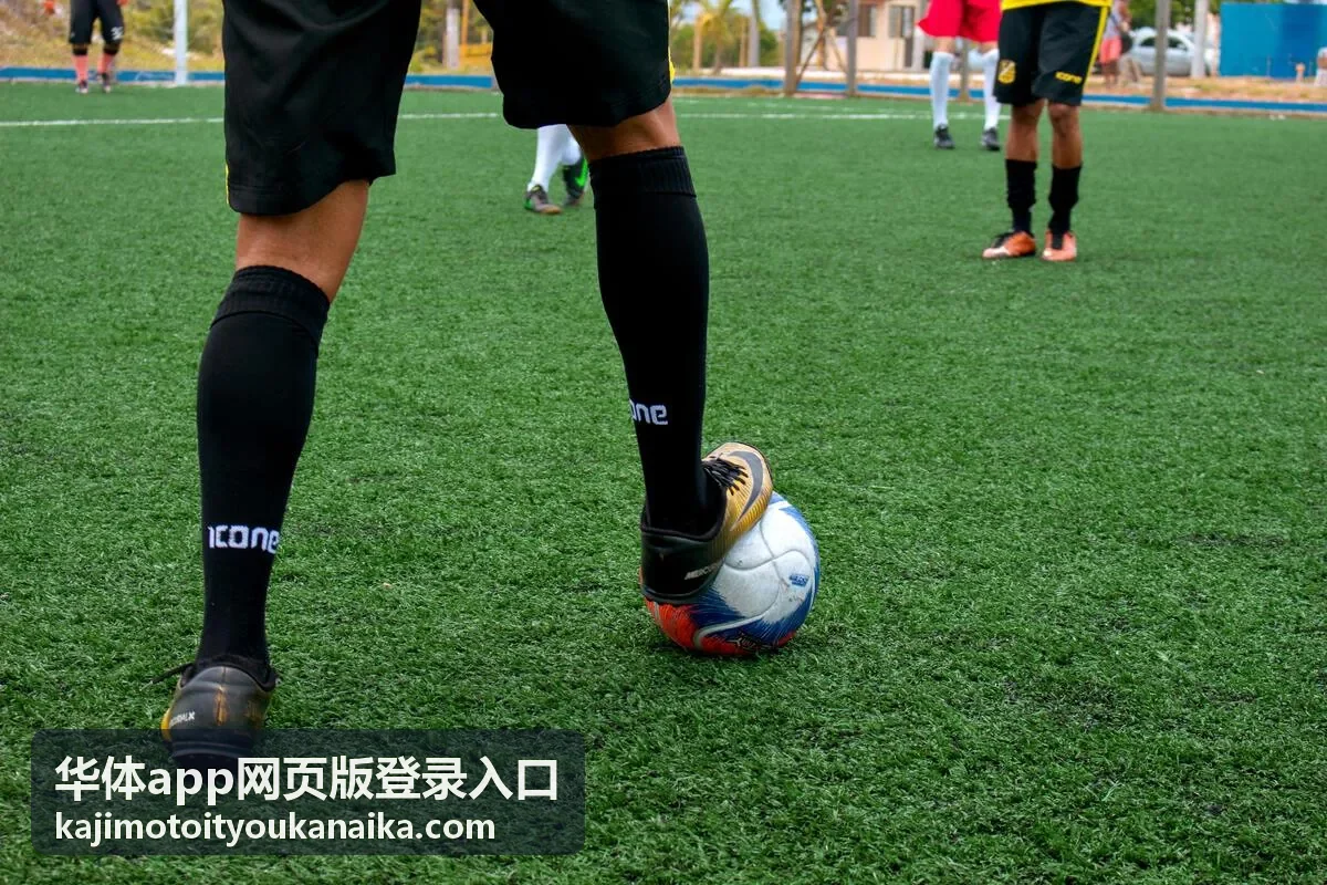 华体app网页版登录入口网页端登录流程示意